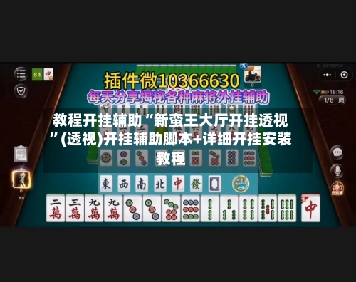 教程开挂辅助“新蛮王大厅开挂透视	”(透视)开挂辅助脚本+详细开挂安装教程-第3张图片