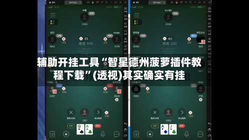 辅助开挂工具“智星德州菠萝插件教程下载”(透视)其实确实有挂-第1张图片