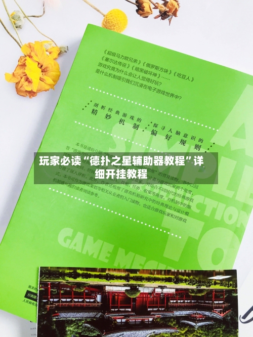 玩家必读“德扑之星辅助器教程”详细开挂教程-第3张图片