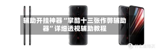 辅助开挂神器“掌酷十三张作弊辅助器”详细透视辅助教程-第2张图片