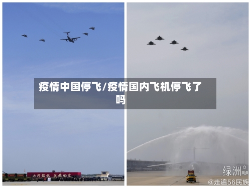 疫情中国停飞/疫情国内飞机停飞了吗-第2张图片