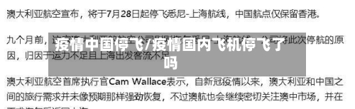 疫情中国停飞/疫情国内飞机停飞了吗-第3张图片
