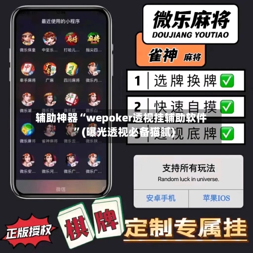 辅助神器“wepoker透视挂辅助软件”(曝光透视必备猫腻)-第3张图片