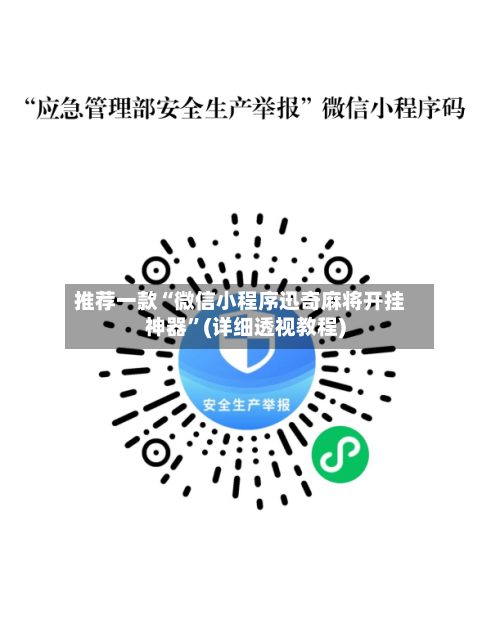 推荐一款“微信小程序迅奇麻将开挂神器”(详细透视教程)-第2张图片