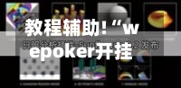 教程辅助!“wepoker开挂辅助器工具(透视)”详细分享装挂步骤-第2张图片