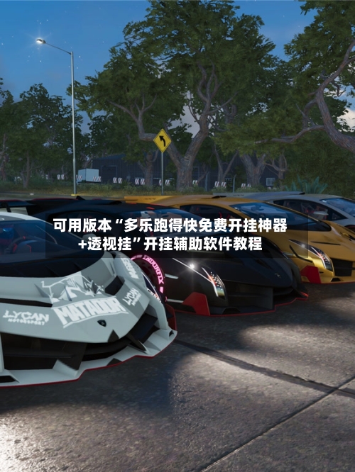 可用版本“多乐跑得快免费开挂神器+透视挂”开挂辅助软件教程-第3张图片