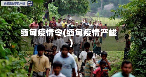 缅甸疫情令(缅甸疫情严峻)-第2张图片