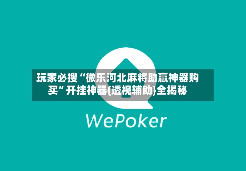 玩家必搜“微乐河北麻将助赢神器购买”开挂神器{透视辅助}全揭秘-第2张图片