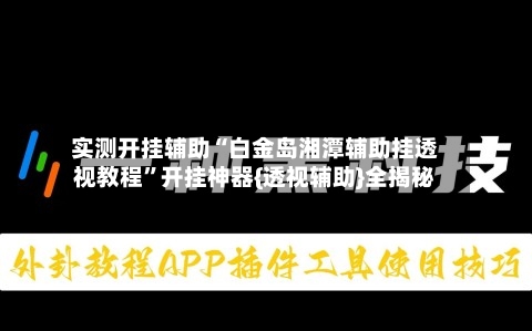 实测开挂辅助“白金岛湘潭辅助挂透视教程”开挂神器{透视辅助}全揭秘-第1张图片