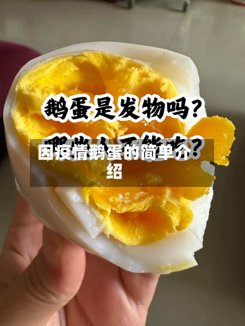 因疫情鹅蛋的简单介绍-第1张图片