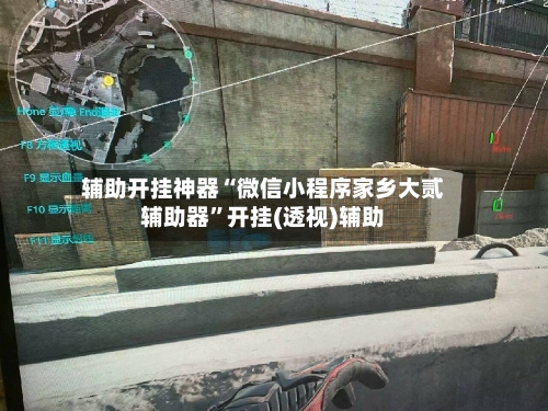 辅助开挂神器“微信小程序家乡大贰辅助器”开挂(透视)辅助-第2张图片