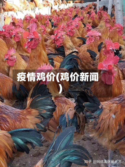 疫情鸡价(鸡价新闻)-第1张图片