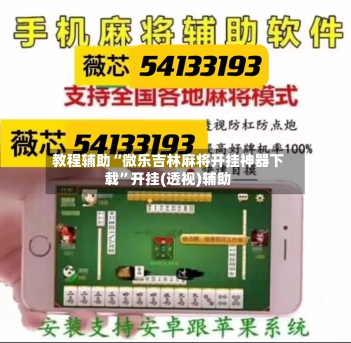 教程辅助“微乐吉林麻将开挂神器下载”开挂(透视)辅助-第2张图片