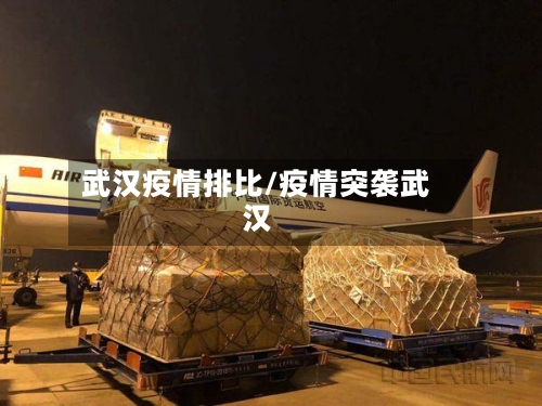 武汉疫情排比/疫情突袭武汉-第1张图片