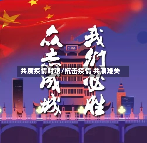 共度疫情时艰/抗击疫情 共渡难关-第2张图片