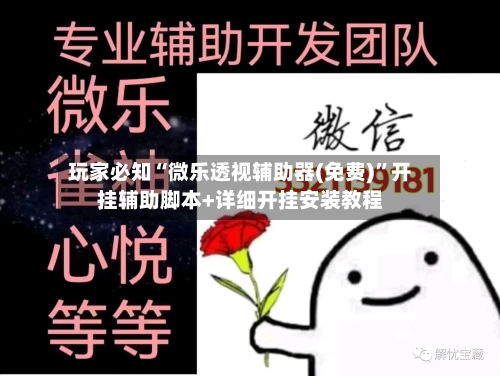 玩家必知“微乐透视辅助器(免费)	”开挂辅助脚本+详细开挂安装教程-第2张图片