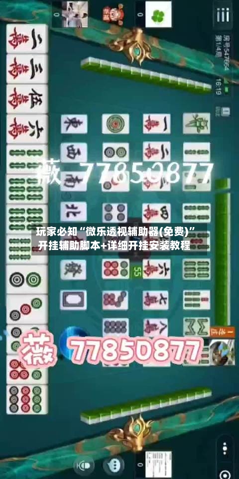 玩家必知“微乐透视辅助器(免费)”开挂辅助脚本+详细开挂安装教程-第1张图片