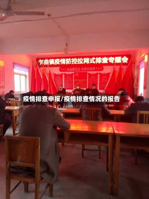 疫情排查申报/疫情排查情况的报告-第2张图片