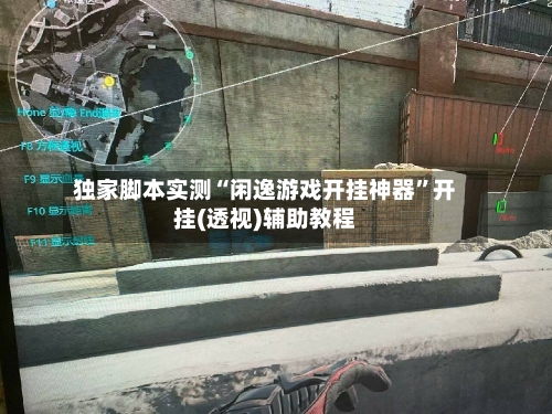 独家脚本实测“闲逸游戏开挂神器	”开挂(透视)辅助教程-第1张图片