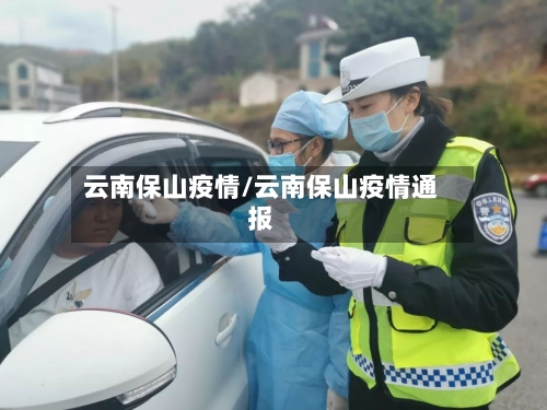 云南保山疫情/云南保山疫情通报-第2张图片