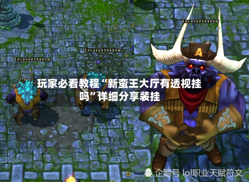 玩家必看教程“新蛮王大厅有透视挂吗”详细分享装挂-第2张图片
