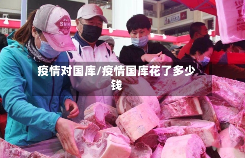 疫情对国库/疫情国库花了多少钱-第3张图片