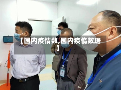 【国内疫情数,国内疫惰数琚】-第1张图片