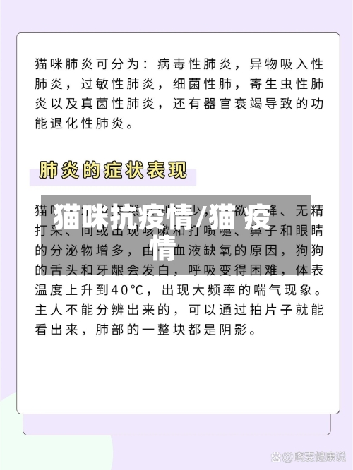 猫咪抗疫情/猫 疫情-第2张图片