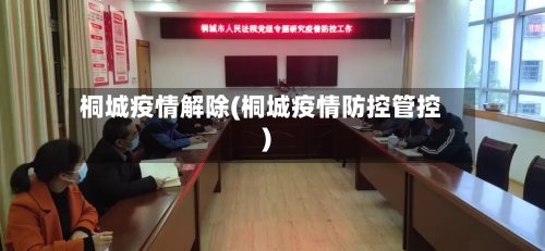 桐城疫情解除(桐城疫情防控管控)-第2张图片
