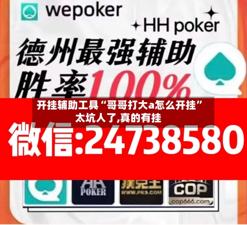 开挂辅助工具“哥哥打大a怎么开挂”太坑人了,真的有挂-第2张图片