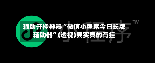 辅助开挂神器“微信小程序今日长牌辅助器	”(透视)其实真的有挂-第3张图片