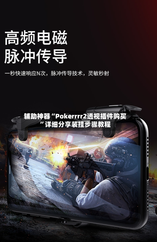 辅助神器“Pokerrrr2透视插件购买	”详细分享装挂步骤教程-第2张图片
