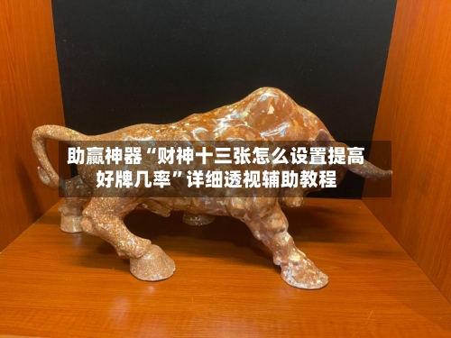 助赢神器“财神十三张怎么设置提高好牌几率”详细透视辅助教程-第1张图片
