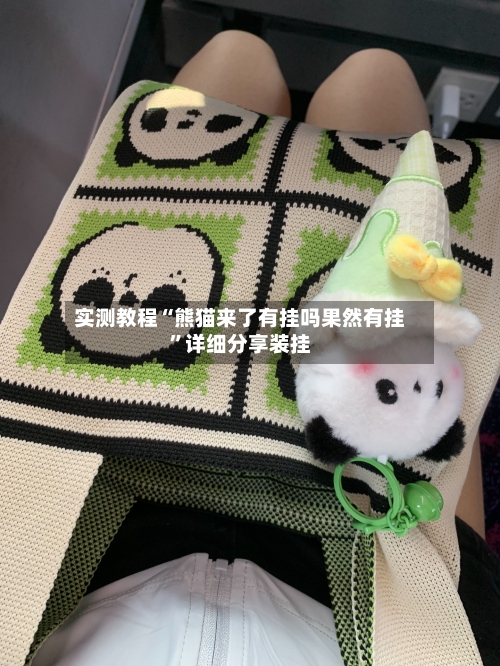 实测教程“熊猫来了有挂吗果然有挂”详细分享装挂-第1张图片