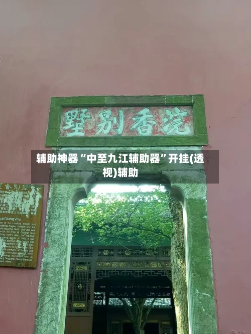 辅助神器“中至九江辅助器”开挂(透视)辅助-第1张图片