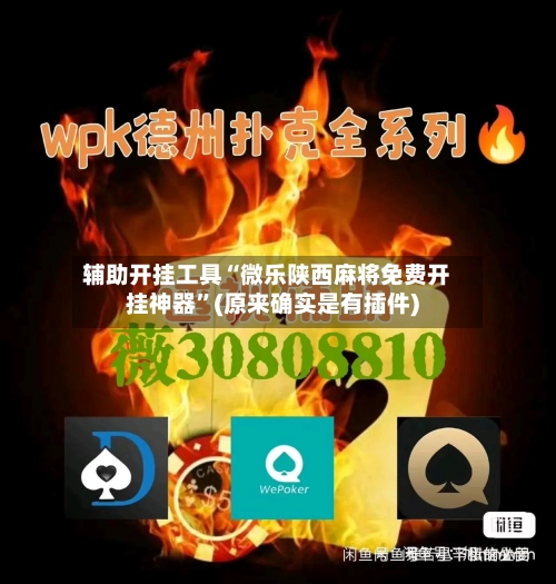 辅助开挂工具“微乐陕西麻将免费开挂神器”(原来确实是有插件)-第1张图片