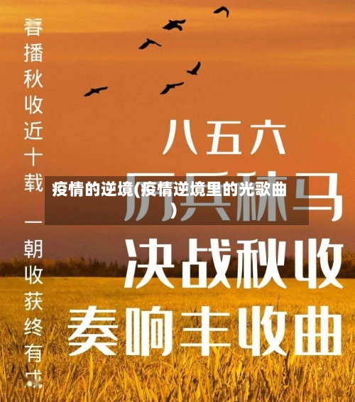 疫情的逆境(疫情逆境里的光歌曲)-第2张图片