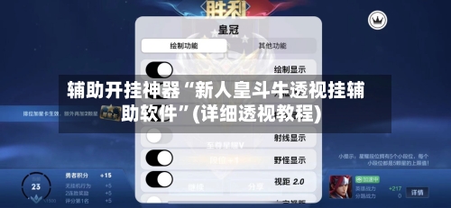 辅助开挂神器“新人皇斗牛透视挂辅助软件”(详细透视教程)-第3张图片