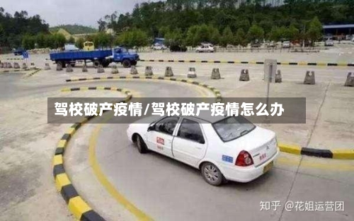 驾校破产疫情/驾校破产疫情怎么办-第3张图片