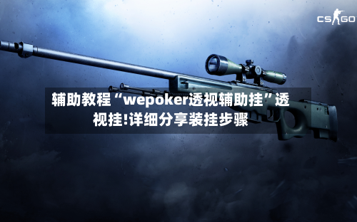 辅助教程“wepoker透视辅助挂”透视挂!详细分享装挂步骤-第1张图片