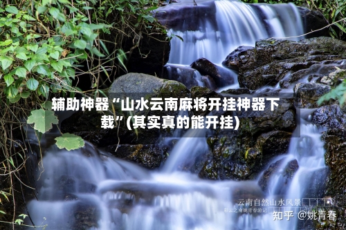 辅助神器“山水云南麻将开挂神器下载”(其实真的能开挂)-第2张图片