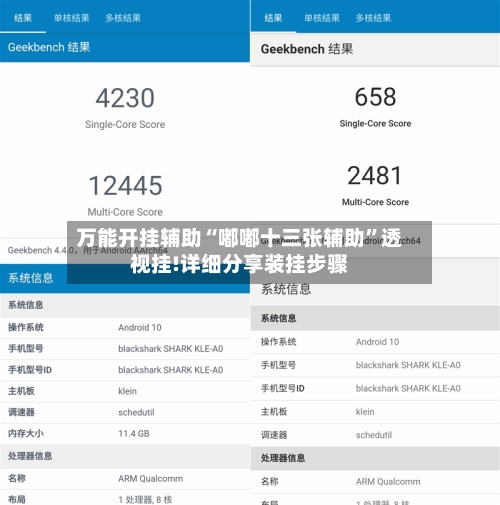 万能开挂辅助“嘟嘟十三张辅助”透视挂!详细分享装挂步骤-第3张图片