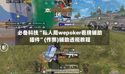 必备科技“私人局wepoker看牌辅助插件”(作弊)辅助透视教程-第2张图片