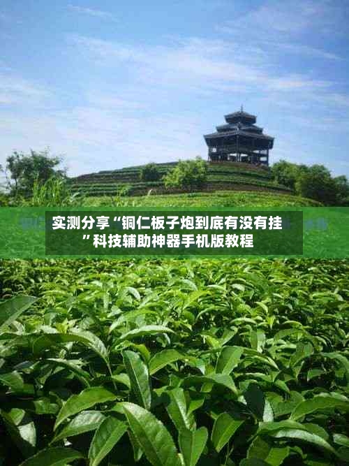 实测分享“铜仁板子炮到底有没有挂	”科技辅助神器手机版教程-第2张图片