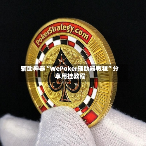 辅助神器“WePoker辅助器教程	”分享用挂教程-第1张图片