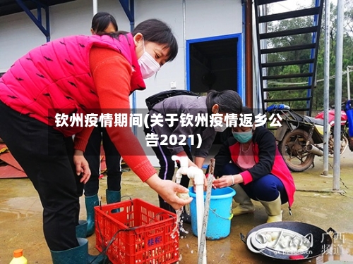 钦州疫情期间(关于钦州疫情返乡公告2021)-第2张图片