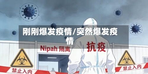 刚刚爆发疫情/突然爆发疫情-第2张图片