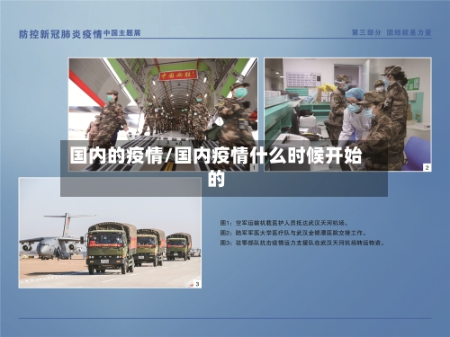国内的疫情/国内疫情什么时候开始的-第2张图片