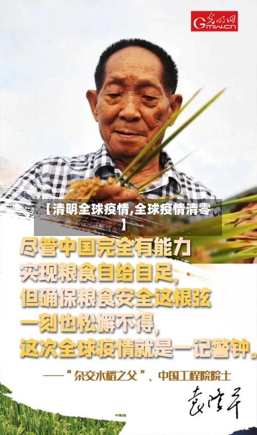 【清明全球疫情,全球疫情清零】-第2张图片