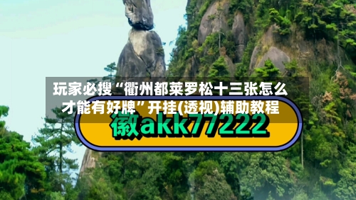 玩家必搜“衢州都莱罗松十三张怎么才能有好牌”开挂(透视)辅助教程-第2张图片